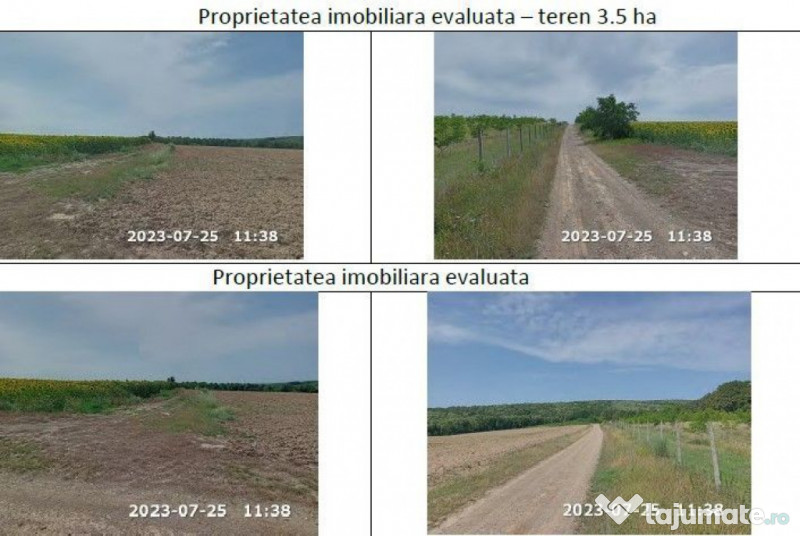 Teren padure, cota de 1/48 Horgesti, ID: R2325871 
