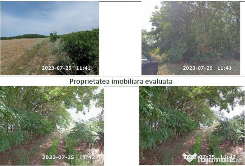 Teren padure, cota de 1/48 Horgesti, ID: R2325871 