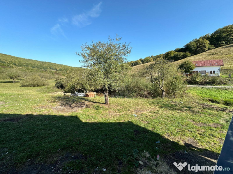 Casa individuala de vanzare 