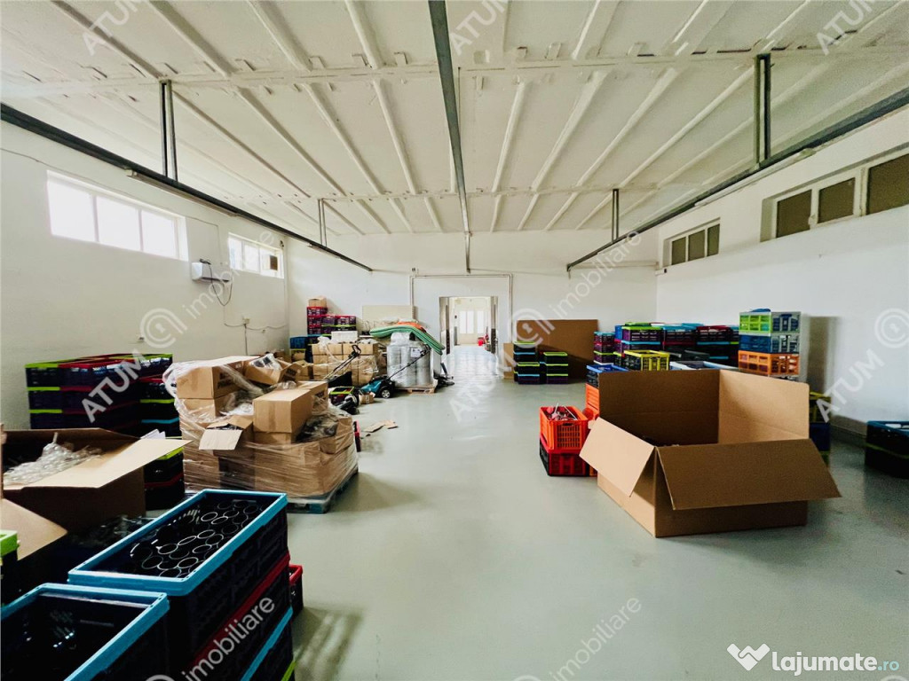 Spatiu industrial cu 2 hale si anexe teren 2543 in Hamba jud