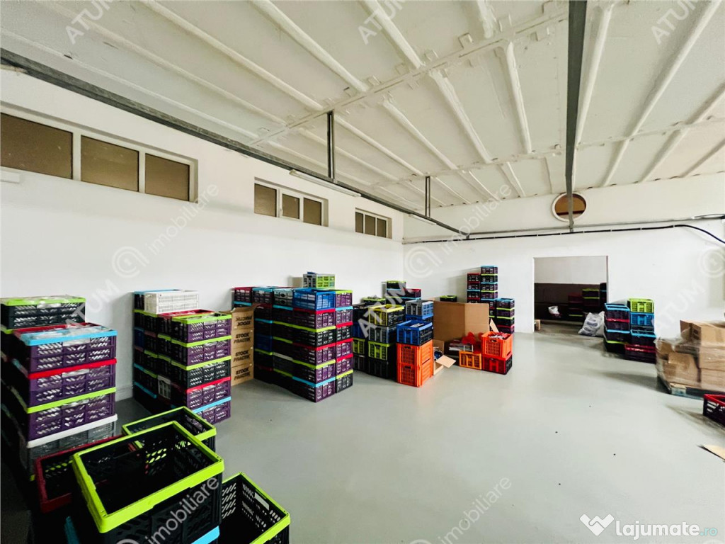 Spatiu industrial cu 2 hale si anexe teren 2543 in Hamba jud
