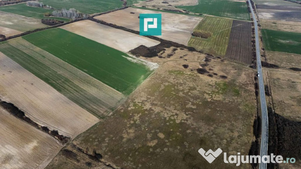 Teren Extravilan – Oportunitate Unică de Investiție! 