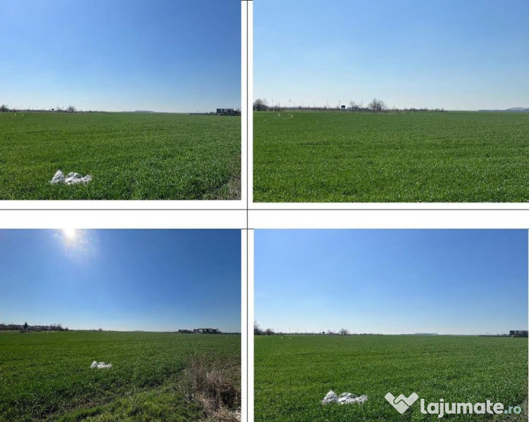 Cota parte de 1/10 din teren Bucuresti, ID: R2550650 