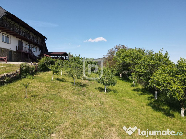 Casa bătrânească cu foișor și teren 