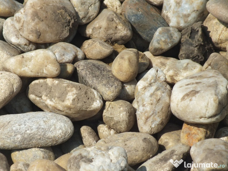 Pamant negru de padure vegetal pentru gradina, pamant gazon, flori 