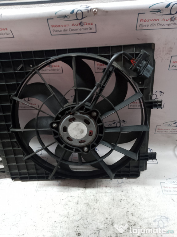 Electroventilator Seat Ibiza 2011