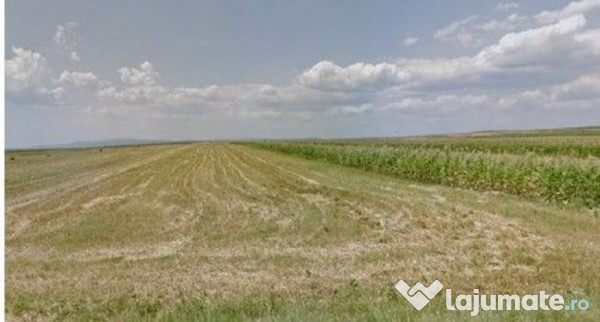 Teren extravilan cota parte 1/3 Cernatesti , ID: R2586146 