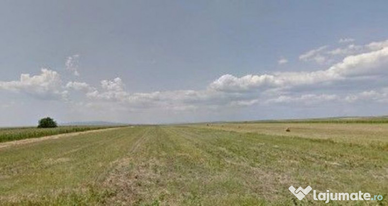 Teren extravilan cota parte 1/3 Cernatesti , ID: R2586146 