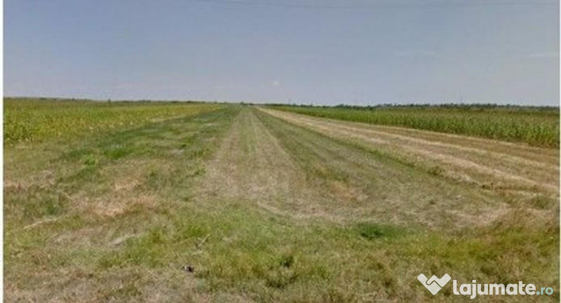 Teren extravilan cota parte 1/3 Cernatesti , ID: R2586146 