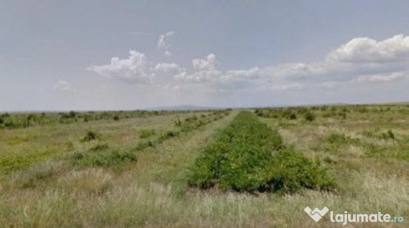 Teren extravilan cota parte 1/3 Cernatesti , ID: R2586146 