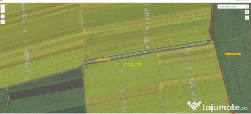 Teren extravilan cota parte 1/3 Cernatesti , ID: R2586146 