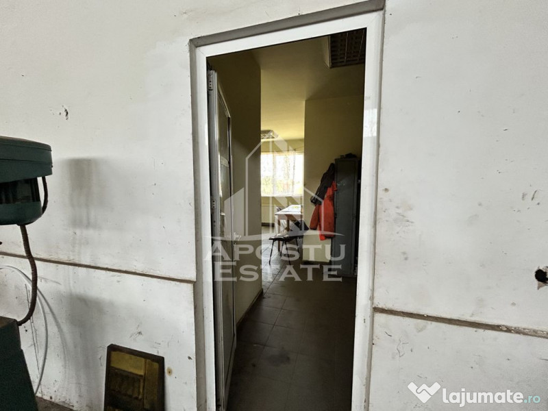 Hala de inchiriat 929 mp, C Aradului - aproape de Satimpe... 