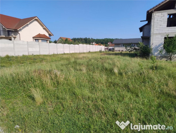 RECO Casa 4 camere, Alparea