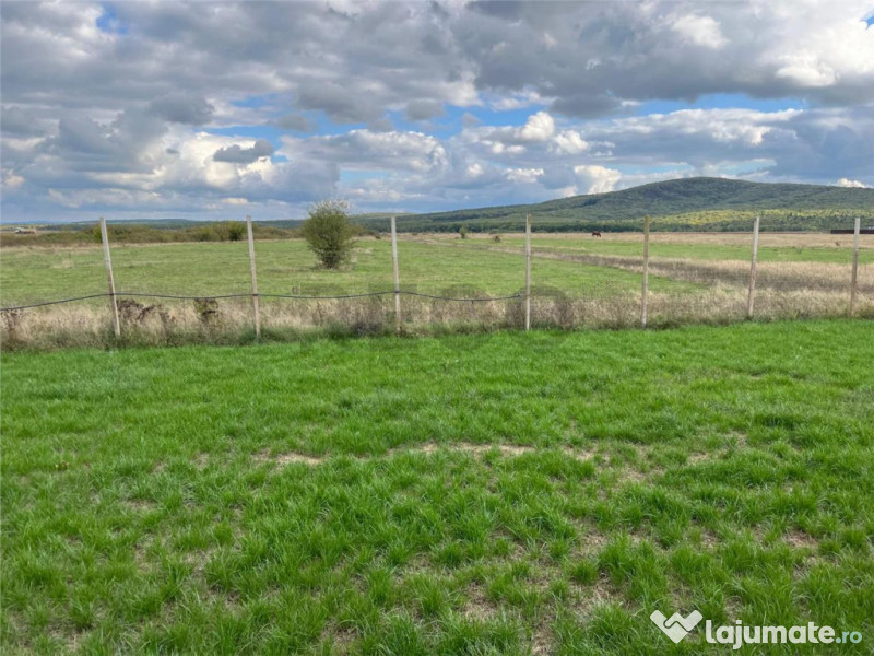 RECO Casa noua la 6 km de Oradea, in Rontau