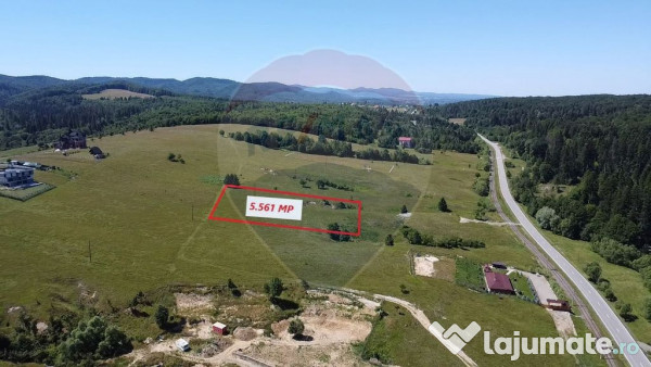 Teren 5,561mp Paltinoasa / Strada principala