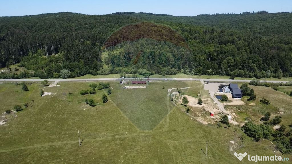 Teren 5,561mp Paltinoasa / Strada principala