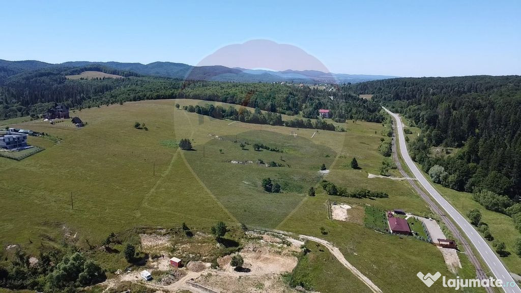 Teren 5,561mp Paltinoasa / Strada principala