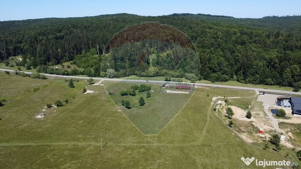 Teren 5,561mp Paltinoasa / Strada principala