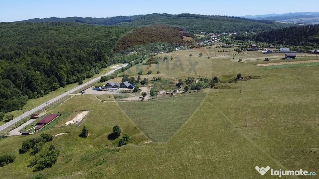 Teren 5,561mp Paltinoasa / Strada principala