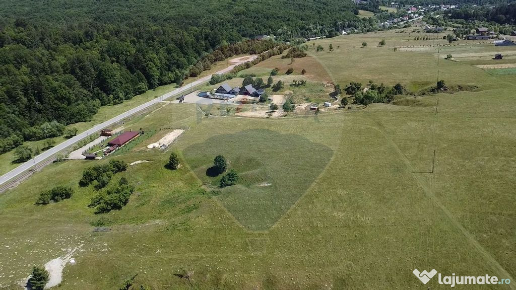 Teren 5,561mp Paltinoasa / Strada principala