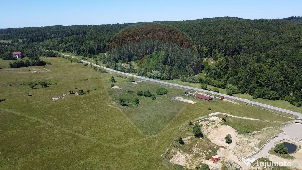 Teren 5,561mp Paltinoasa / Strada principala