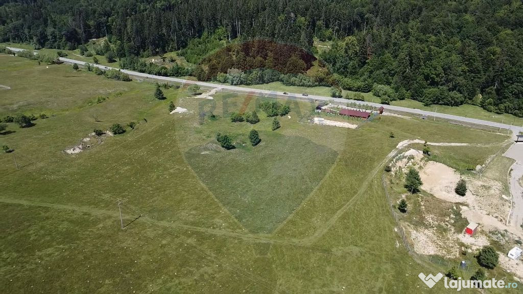 Teren 5,561mp Paltinoasa / Strada principala
