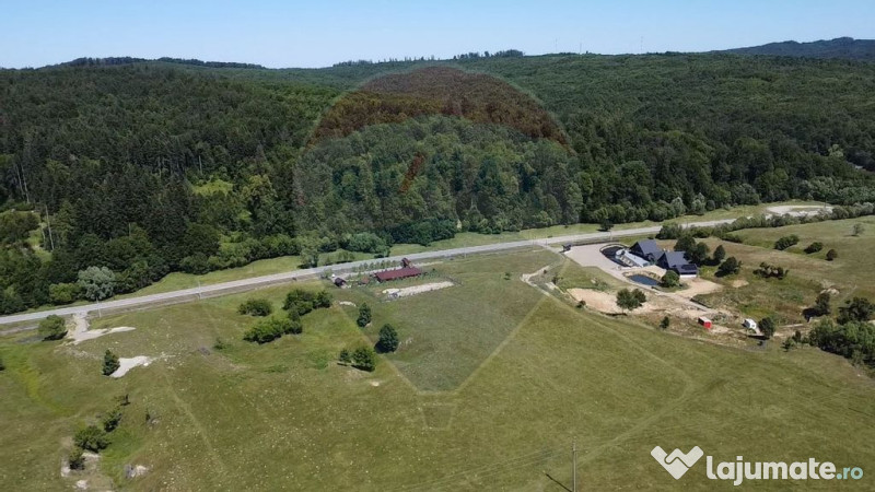 Teren 5,561mp Paltinoasa / Strada principala