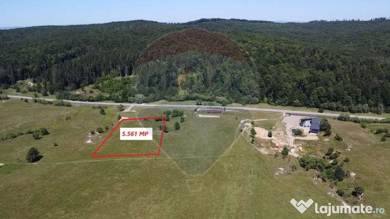 Teren 5,561mp Paltinoasa / Strada principala