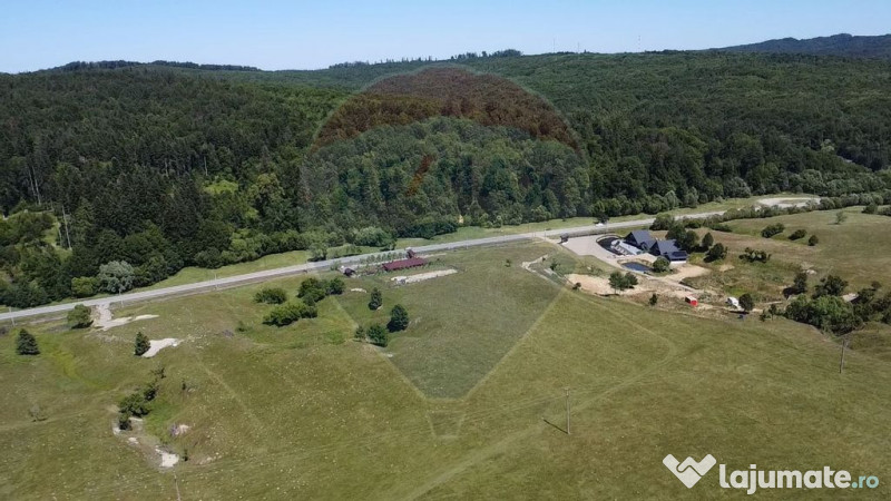 Teren 5,561mp Paltinoasa / Strada principala