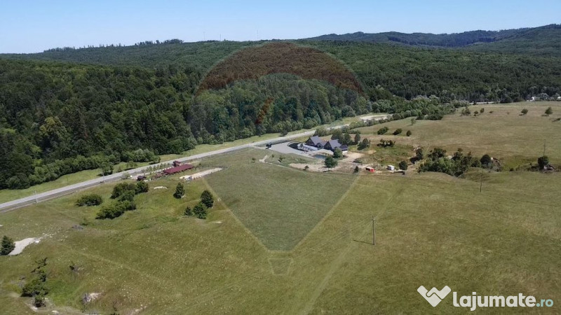 Teren 5,561mp Paltinoasa / Strada principala