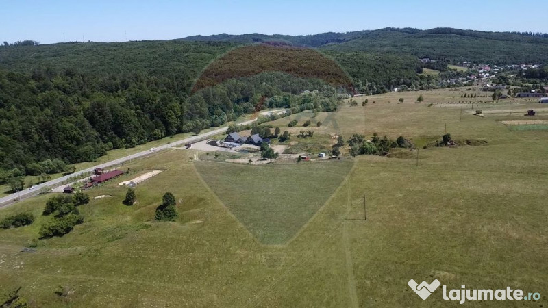 Teren 5,561mp Paltinoasa / Strada principala