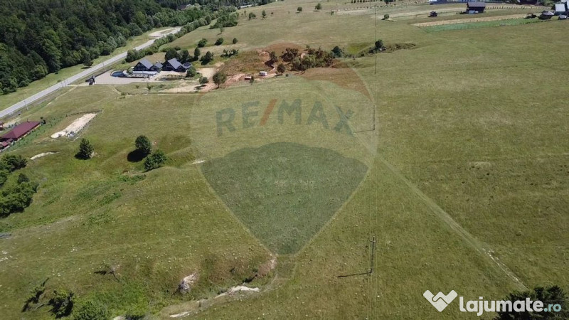 Teren 5,561mp Paltinoasa / Strada principala