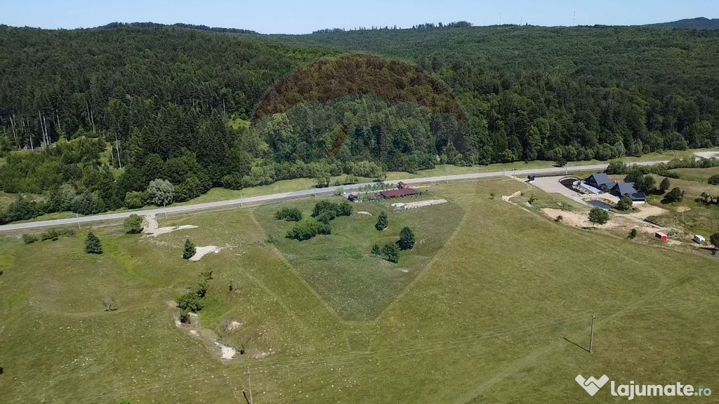 Teren 5,561mp Paltinoasa / Strada principala