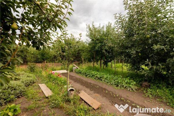 RECO Casa de zona Horia 