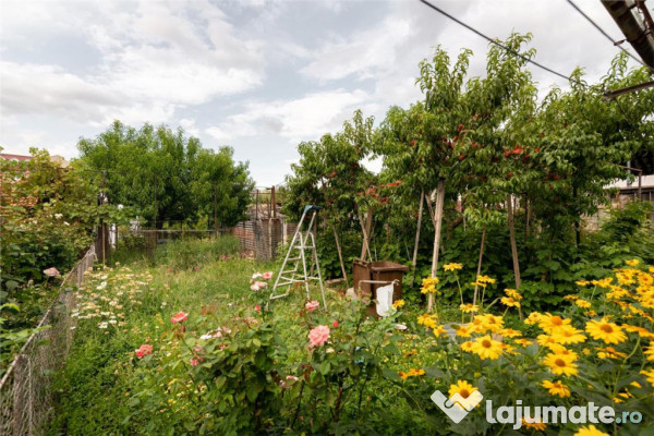 RECO Casa de zona Horia 