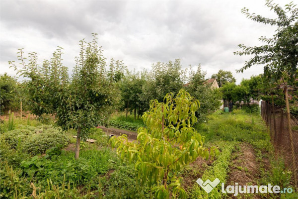 RECO Casa de zona Horia 