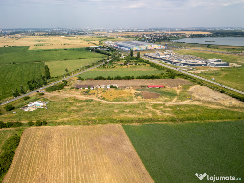 Teren Cernica,pentru Dezvoltare Rezidențială sau Industria 