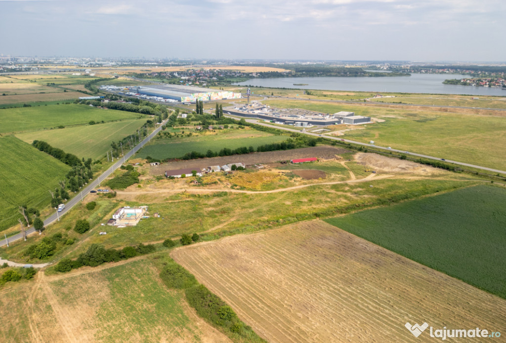 Teren Cernica,pentru Dezvoltare Rezidențială sau Industria 