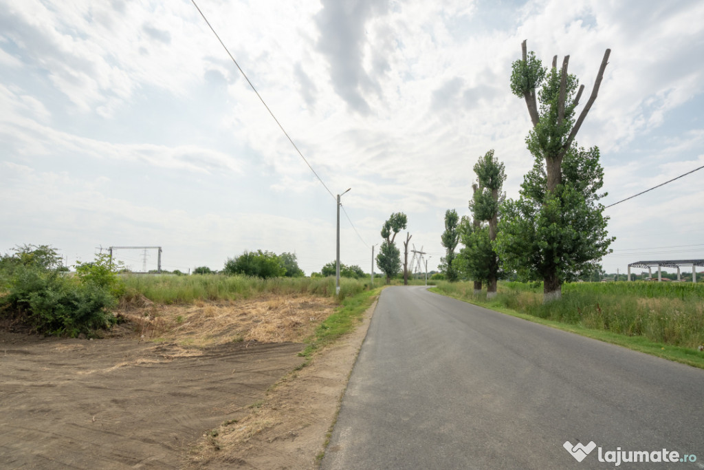 Teren Cernica,pentru Dezvoltare Rezidențială sau Industria 