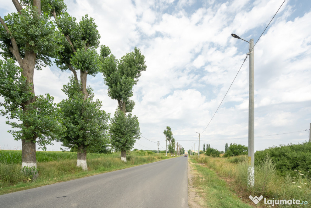 Teren Cernica,pentru Dezvoltare Rezidențială sau Industria 