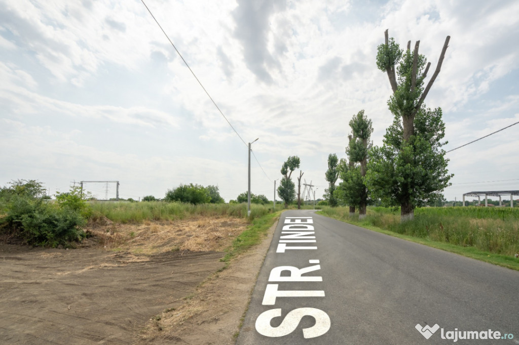 Teren Cernica,pentru Dezvoltare Rezidențială sau Industria 