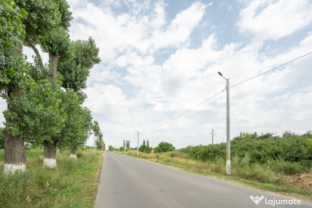 Teren Cernica,pentru Dezvoltare Rezidențială sau Industria 