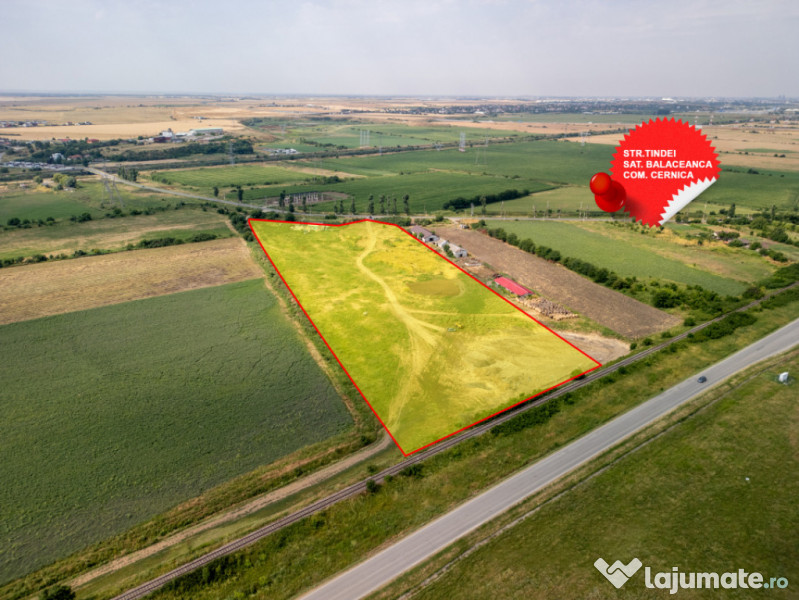 Teren Cernica,pentru Dezvoltare Rezidențială sau Industria 