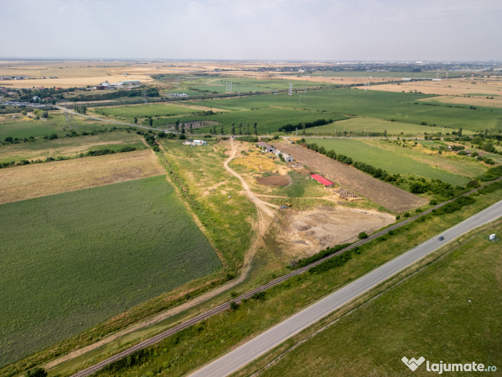 Teren Cernica,pentru Dezvoltare Rezidențială sau Industria 