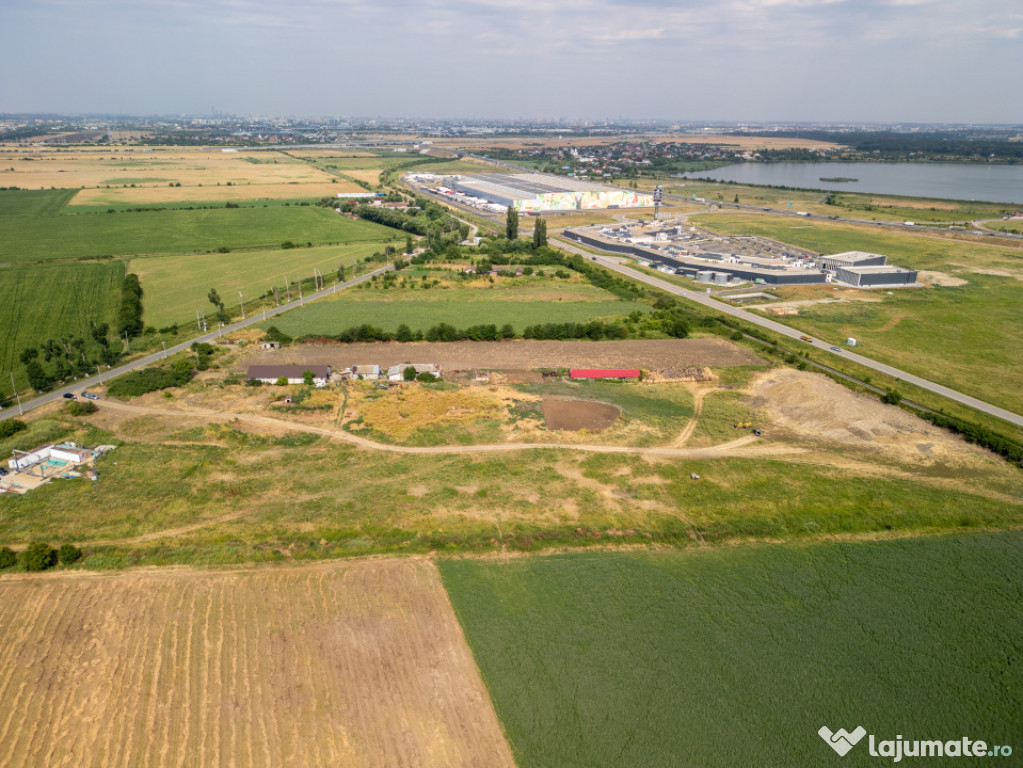 Teren Cernica,pentru Dezvoltare Rezidențială sau Industria 