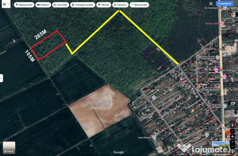 Oportunitate rară: Teren 28.000mp în Săftica-Balotești