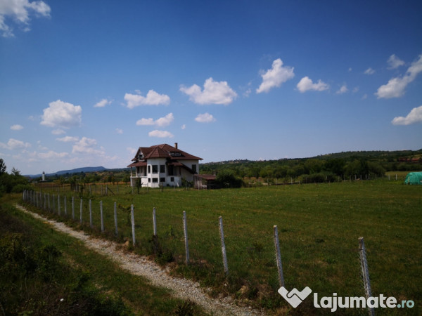 Casă P+1+M, 370 mp, teren 70 ari, Livezile, la 9 km de Bistrița