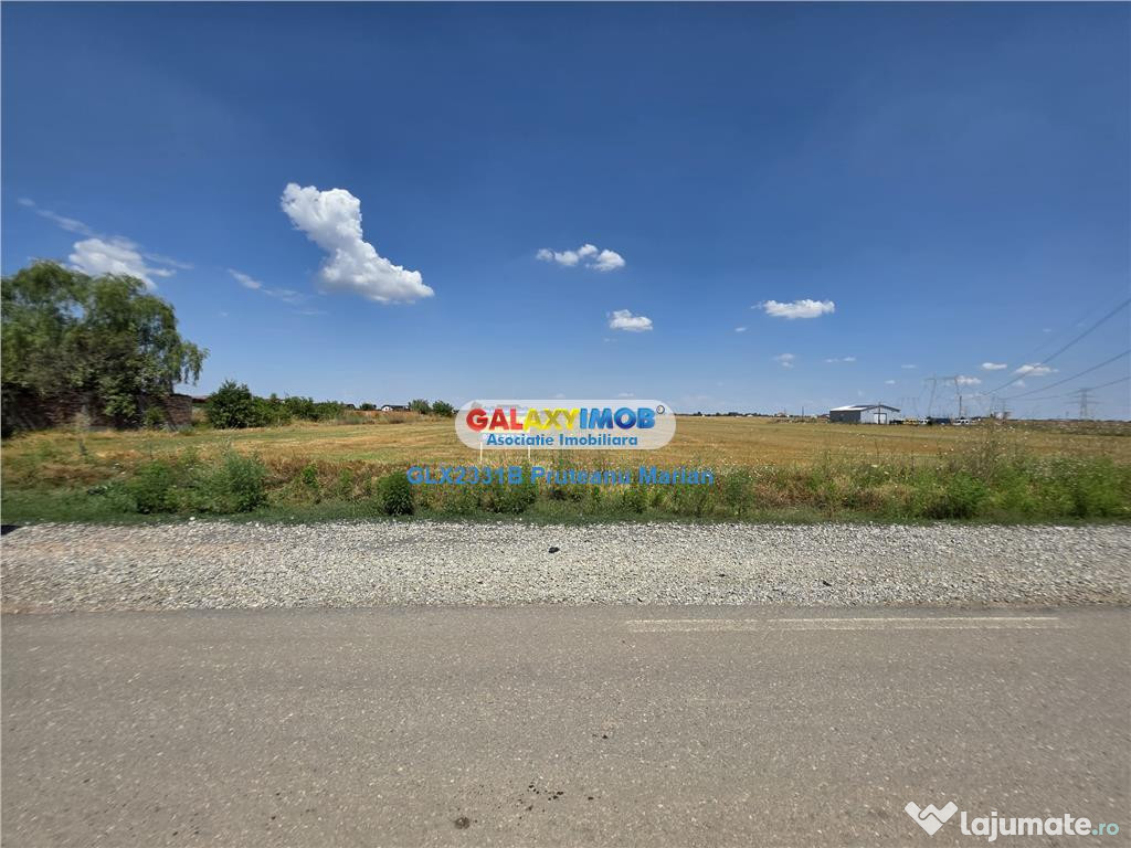 Teren 25395 mp situat in comuna Clinceni aproape de zone Rez 