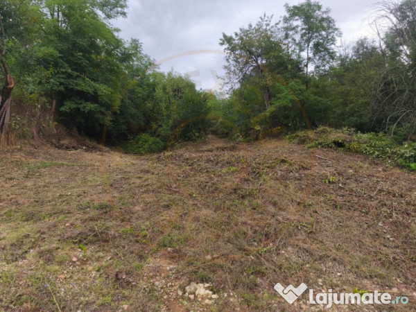 Teren 2552 mp x 14€ Mosoaia Hintesti -Strada Basangesti