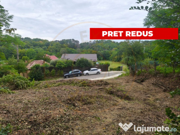 Teren 2552 mp x 14€ Mosoaia Hintesti -Strada Basangesti